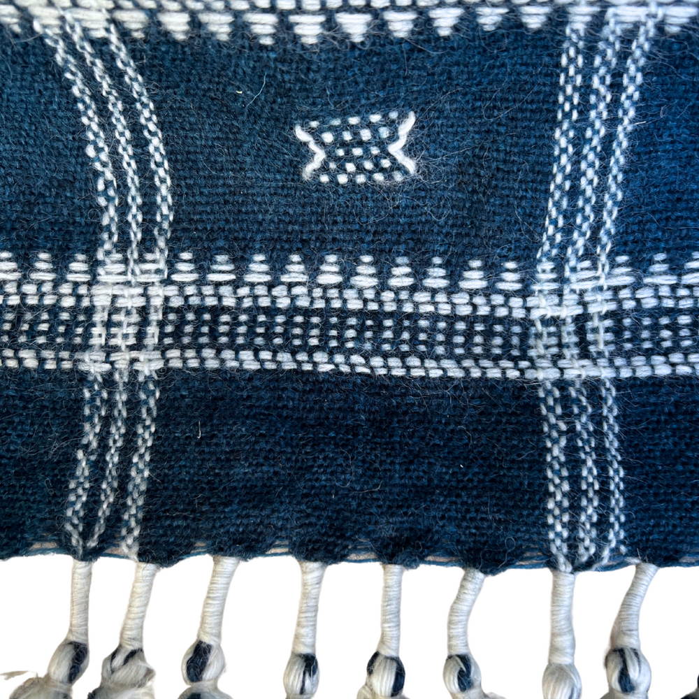 
                      
                        Blue Woven Tassel Throw
                      
                    